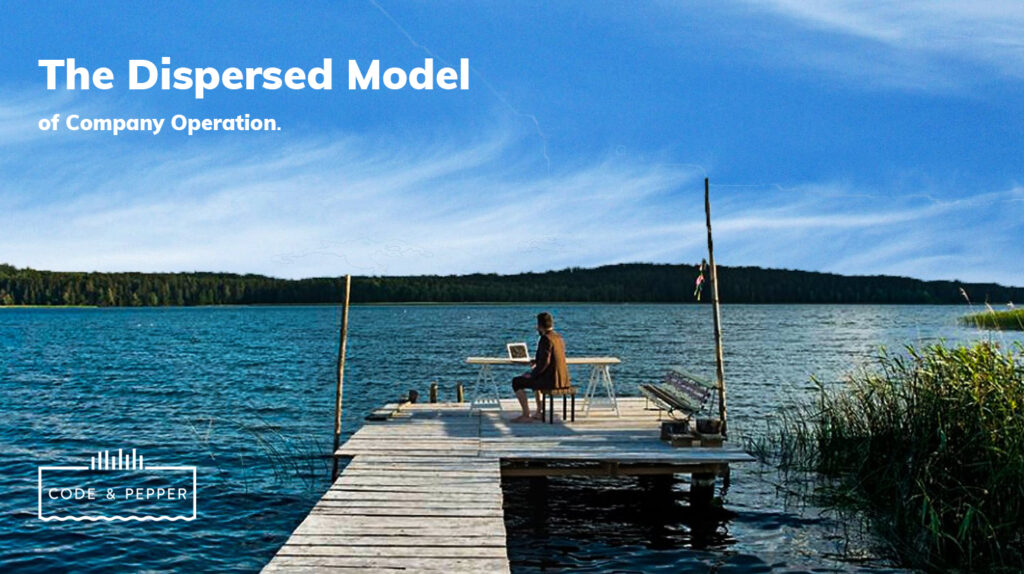 Dipersed model of company